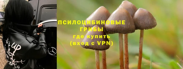 не бодяженный Рославль