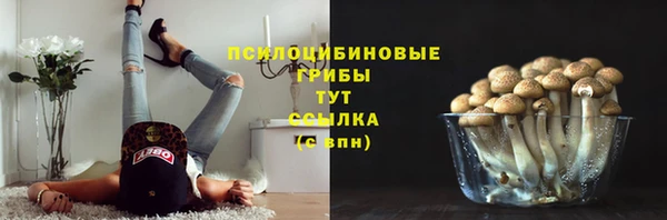 МДПВ Россошь