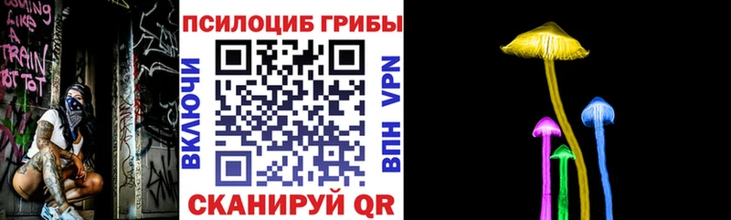 Псилоцибиновые грибы GOLDEN TEACHER  Тогучин 